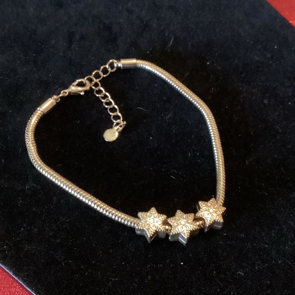 NWOT. Goldtone Star Charm Snake Chain Adjustable Bracelet